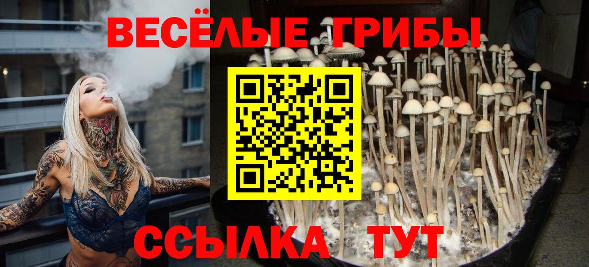 ГАШИШ Саянск