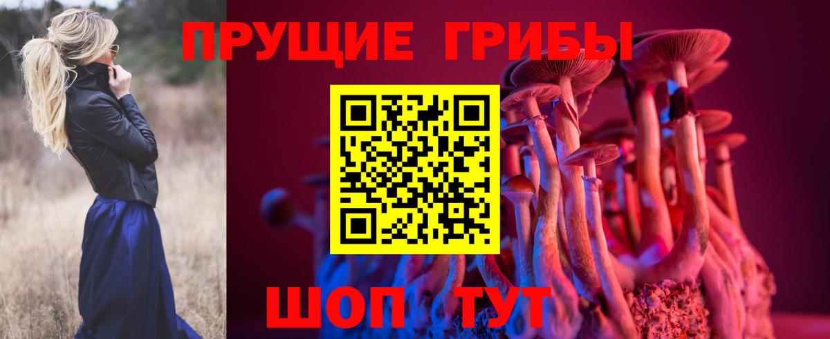 Псилоцибиновые грибы Magic Shrooms Саянск
